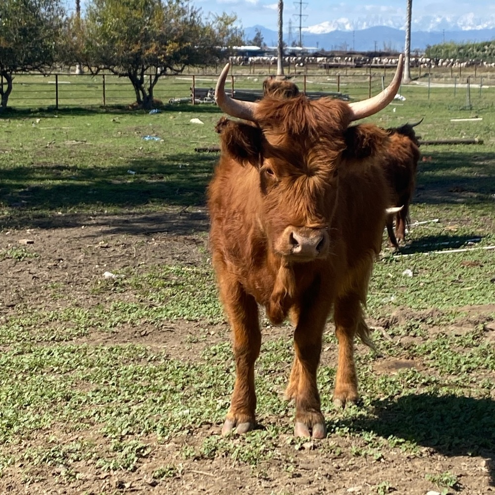 Meet your Posher, Erinn